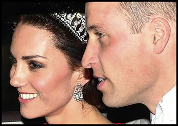 Diplomatic reception at Buckingham Palace Diplomatic reception at Buckingham Palace