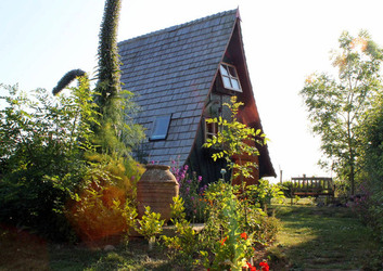 TREE HOUSE AIR BNB