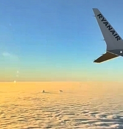 VIDEO Plane passenger spots DOG playing with ball in the clouds