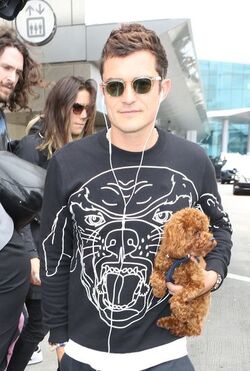 Orlando Bloom returned to Los Angeles carrying his puppy and signing autographs on his way to his waiting vehicle.