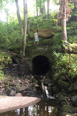 LUCKY DAD CAN ESCAPE INTO A FOREST IN HIS BACK GARDEN