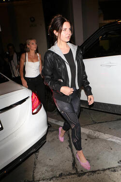 Lana Del Rey dines with friends at Craig s