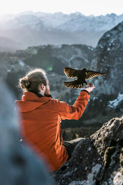THE HUMAN BIRD TABLE...ON TOP OF A MOUNTAIN
