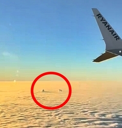 VIDEO Plane passenger spots DOG playing with ball in the clouds