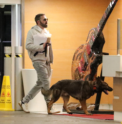 Ben Affleck Keeps Busy Amid House Hunt Arrives At Hollywood Office With Guard Dog Ben Affleck Keeps Busy Amid House Hunt Arrives At Hollywood Office With Guard Dog