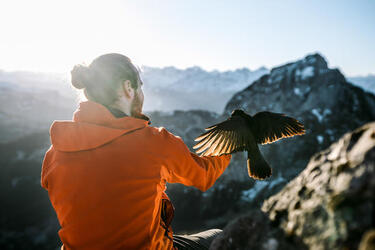 THE HUMAN BIRD TABLE...ON TOP OF A MOUNTAIN