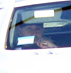 Britney Spears New Boyfriend Rides Shotgun During Coffee Run