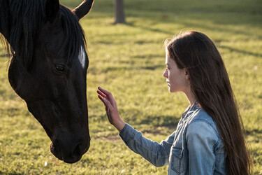 Mackenzie Foy in the upcoming new film Black Beauty 