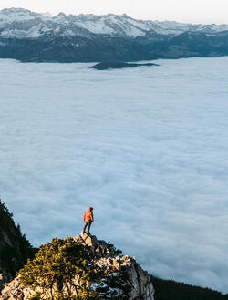 THE HUMAN BIRD TABLE...ON TOP OF A MOUNTAIN