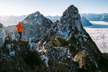 THE HUMAN BIRD TABLE...ON TOP OF A MOUNTAIN