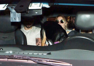 Ashley Greene and fiance take their dog on a plane