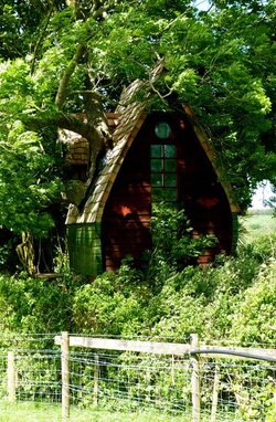 TREE HOUSE AIR BNB