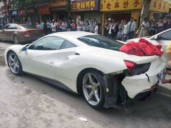 Ferrari Drivers Crash Trying To Dodge Wandering Dog Ferrari Drivers Crash Trying To Dodge Wandering Dog