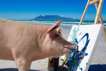 Pigcasso The Painting Pig