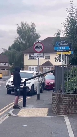 VIDEO Disgruntled masked man hacks down London ULEZ camera in broad daylight 48 hours after it was installed