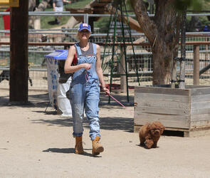 Gwen Stefani with Kids Enjoying the Day at a Farm