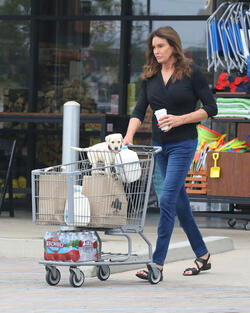 Caitlyn Gets Cute Cuddly Companion