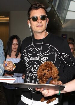Orlando Bloom returned to Los Angeles carrying his puppy and signing autographs on his way to his waiting vehicle.