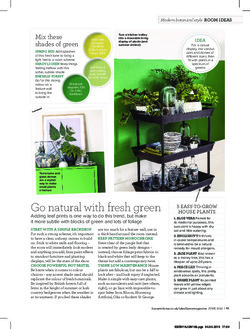 Modern botanical style