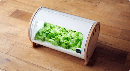 Hydroponic agriculture app Hydroponic agriculture app