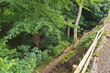 LUCKY DAD CAN ESCAPE INTO A FOREST IN HIS BACK GARDEN
