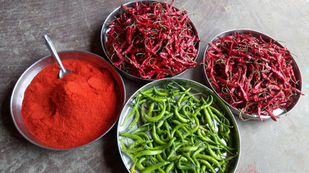 INCREDIBLE APPETITE INDIAN MAN EATS 2.9KG OF CHILLIES EVERY DAY INCREDIBLE APPETITE INDIAN MAN EATS 2.9KG OF CHILLIES EVERY DAY