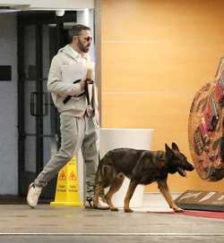 Ben Affleck Keeps Busy Amid House Hunt Arrives At Hollywood Office With Guard Dog Ben Affleck Keeps Busy Amid House Hunt Arrives At Hollywood Office With Guard Dog