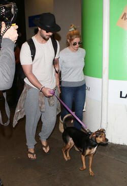 Ashley Greene and fiance take their dog on a plane