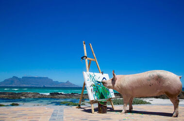 Pigcasso The Painting Pig
