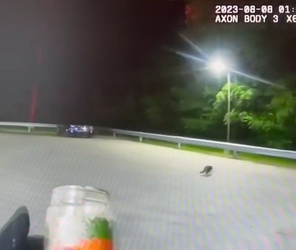 VIDEO Raccoon with jar on its head saved by police VIDEO Raccoon with jar on its head saved by police