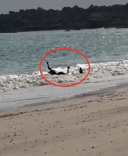 VIDEO Adorable camel rolls around in waves during much needed cool down VIDEO Adorable camel rolls around in waves during much needed cool down