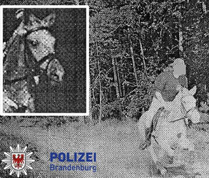 Horse Caught On Speed Camera Trap