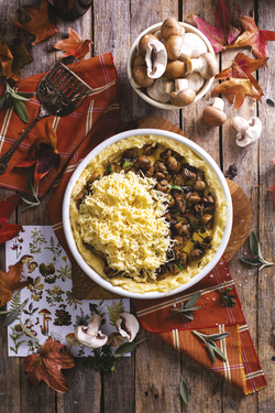 Marvellous mushrooms