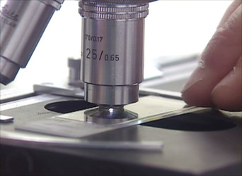 MUM AND HER TWO DAUGHTERS MURDERED BY ANGRY NEPHEW