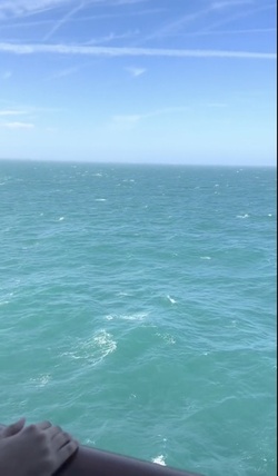 Family of seven spend less travelling 800 miles for week abroad than seven days caravaning on UK coast