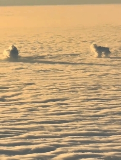 VIDEO Plane passenger spots DOG playing with ball in the clouds