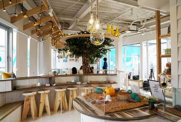 WORLDS FIRST CHINCHILLA CAFE