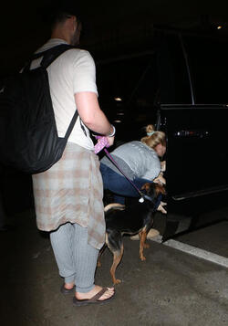 Ashley Greene and fiance take their dog on a plane