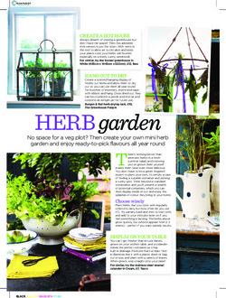 Herb garden