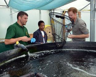 Prince Harry in Wigan Prince Harry in Wigan