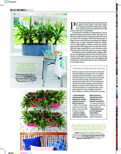 Displaying houseplants