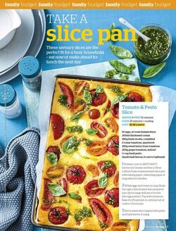 Take a Slice Pan Take a Slice Pan