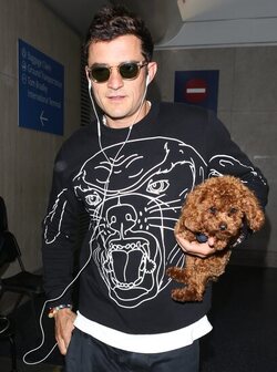 Orlando Bloom returned to Los Angeles carrying his puppy and signing autographs on his way to his waiting vehicle.