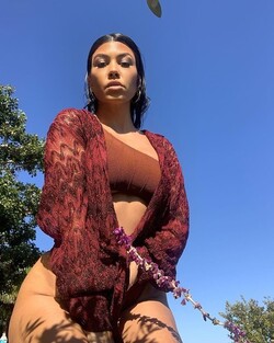 Celebrity Selfies