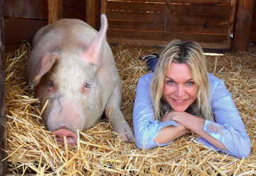 Pigcasso The Painting Pig