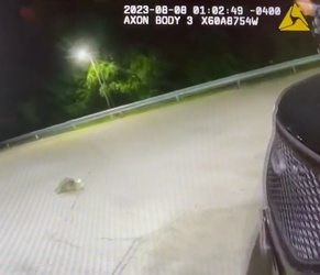 VIDEO Raccoon with jar on its head saved by police VIDEO Raccoon with jar on its head saved by police