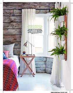 Displaying houseplants