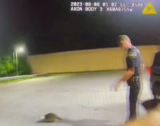 VIDEO Raccoon with jar on its head saved by police VIDEO Raccoon with jar on its head saved by police