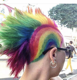 RAINBOW BEARDS
