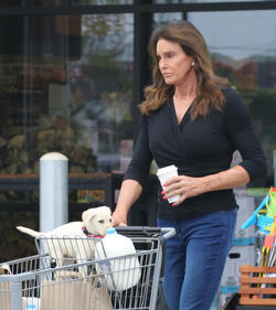 Caitlyn Gets Cute Cuddly Companion